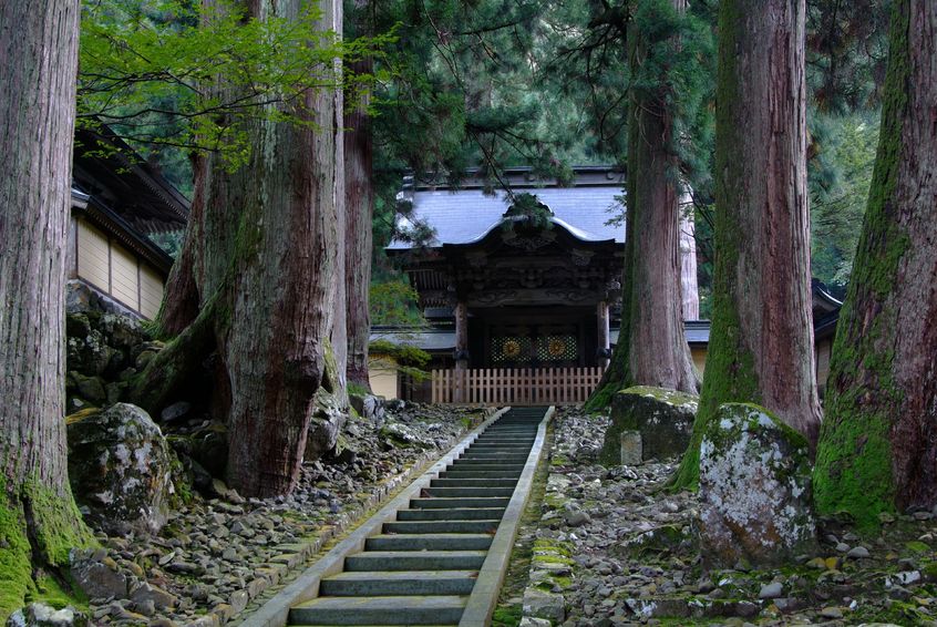 Kinkakuji Shrine