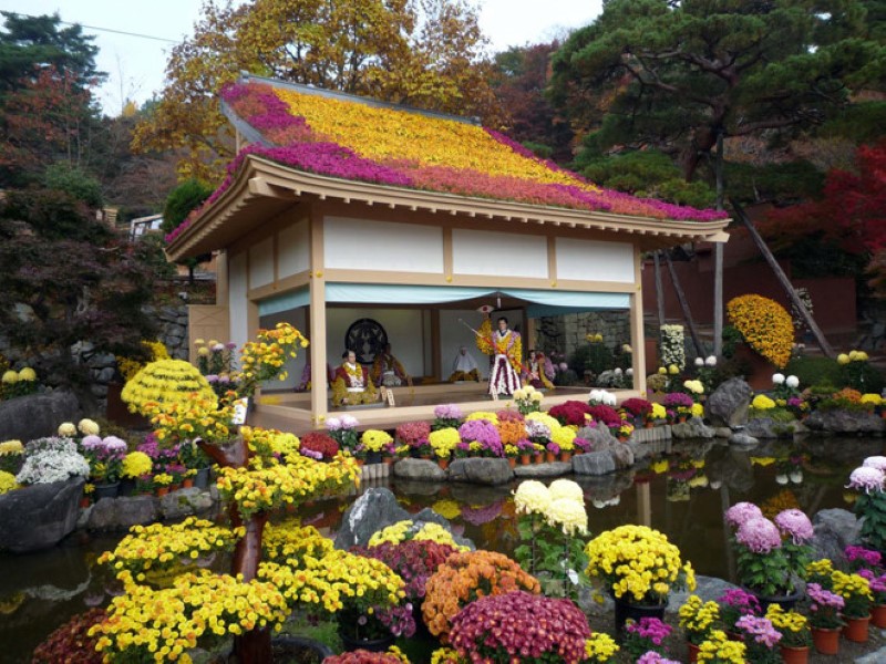 Lễ hội hoa cúc tại tỉnh Tochigi