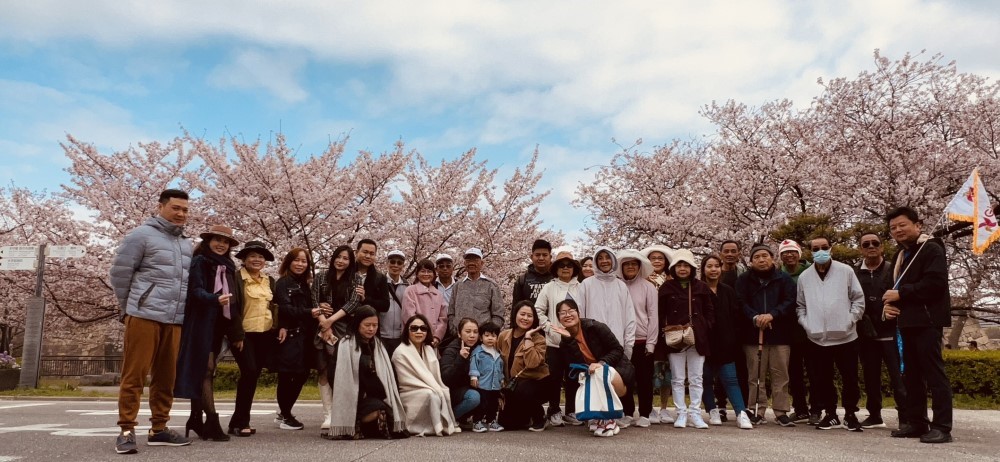 Du lịch Nhật bản - Đoàn 32 khách du lịch thành công ngắm hoa Anh Đào cung đường Vàng