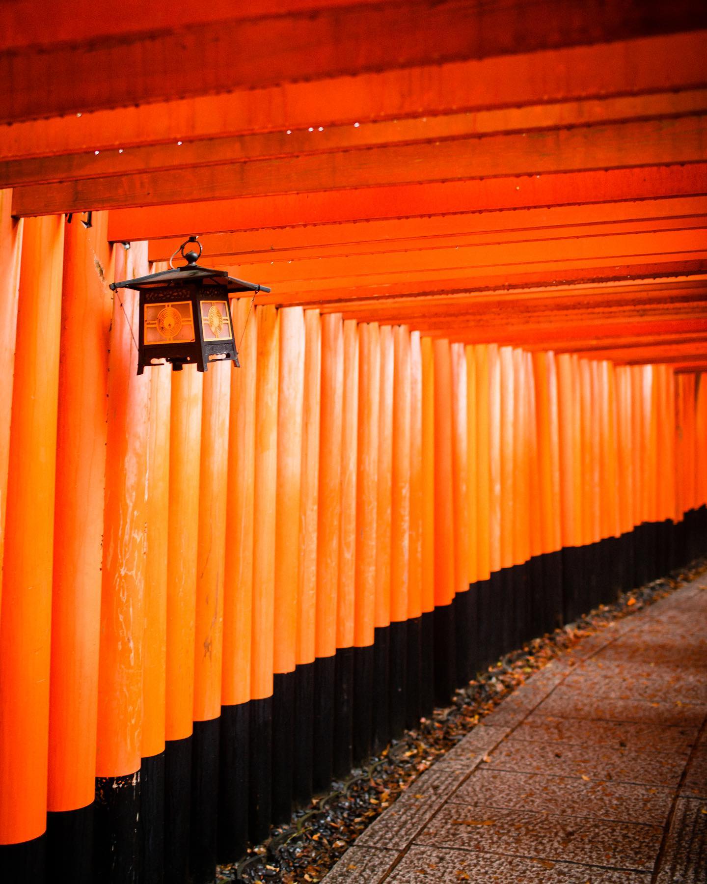 Cổng torii