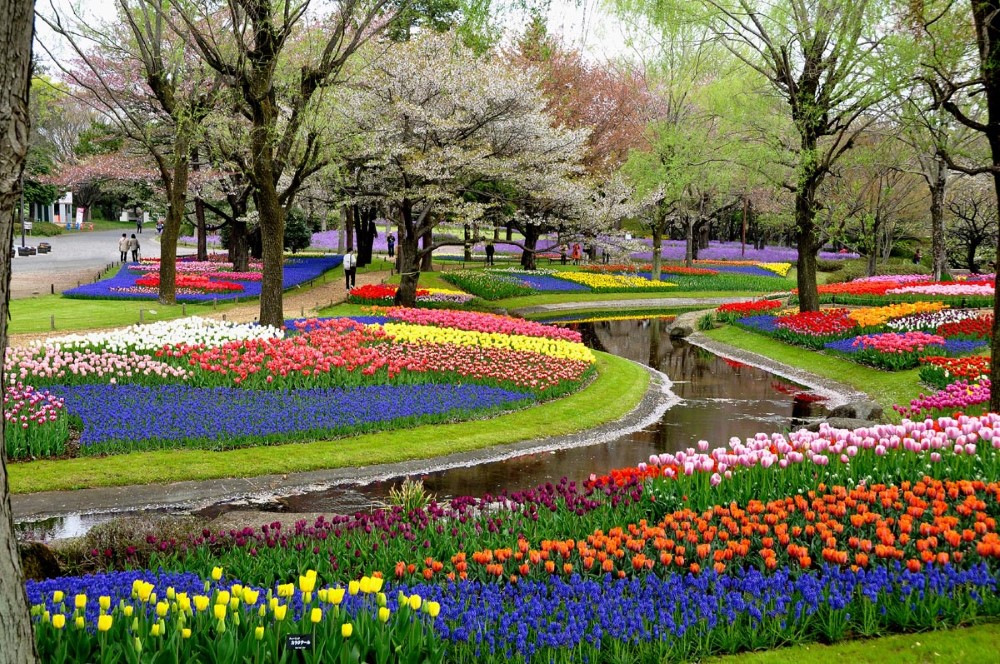 Công viên hoa Showa Kinen