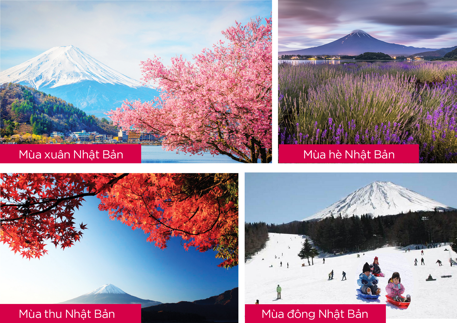 Bốn mùa núi Phú Sĩ