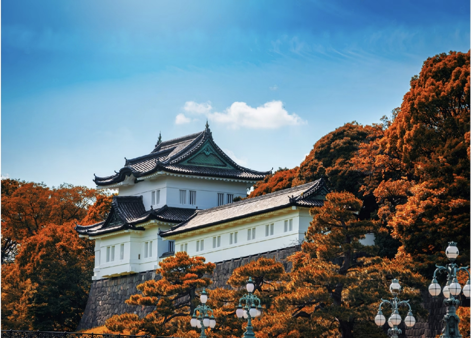 Hoàng cung Tokyo mùa lá đỏ