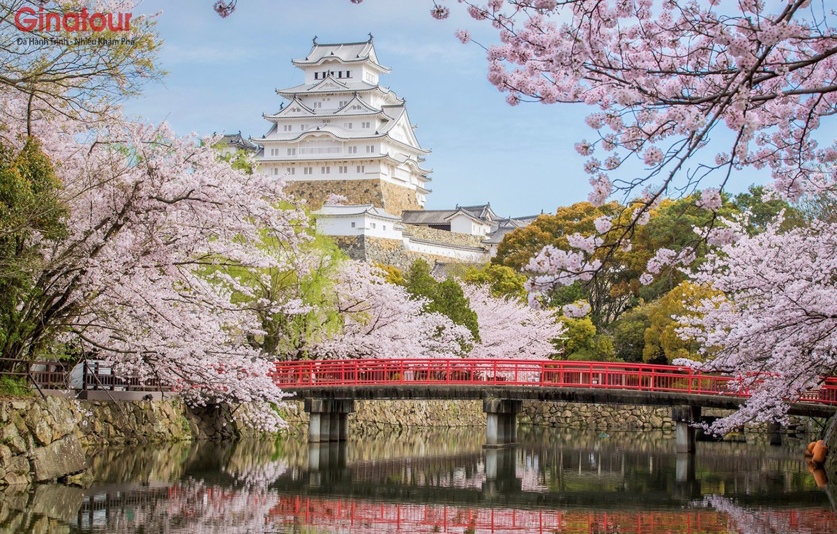 Lâu đài Osaka mùa hoa anh đào