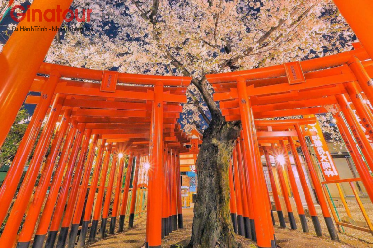 Đền Fushimi Inari