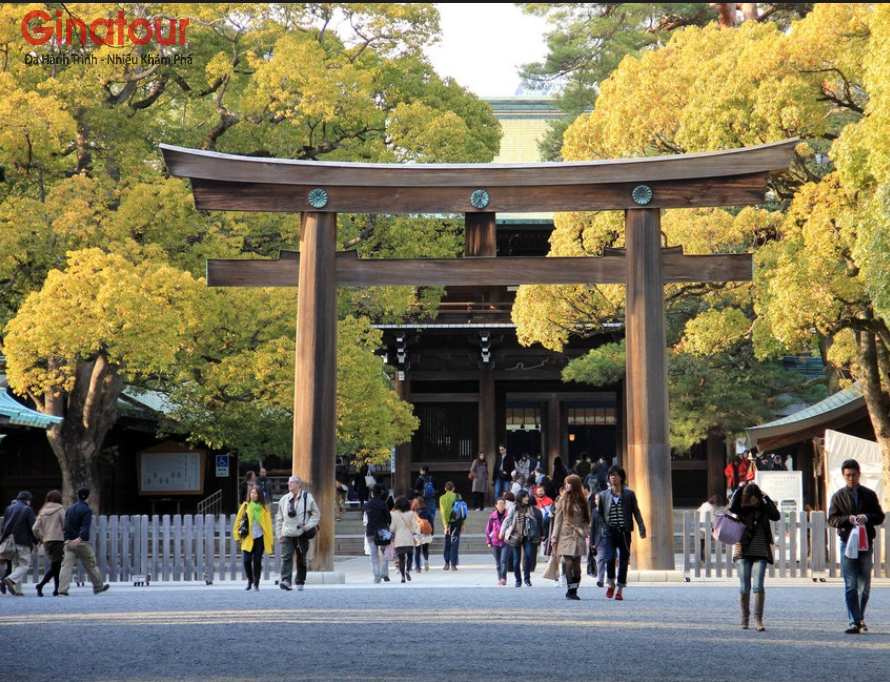 Đền Meiji-jingu- Giữa lòng Tokyo