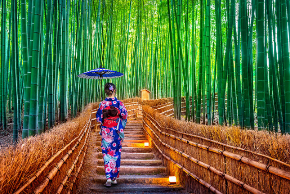 Rừng tre Arashiyama