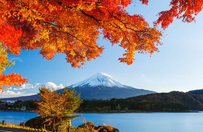 Du lịch Nhật Bản mùa thu: Osaka - Kyoto - Yamanashi - Tokyo