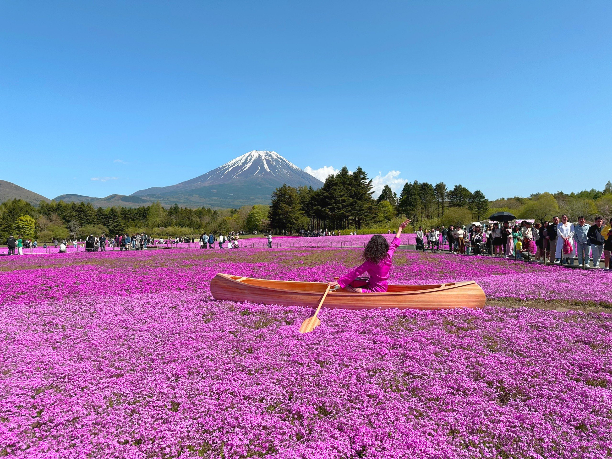 Tour Nhật Bản - Rực rỡ lễ hội hoa chi anh